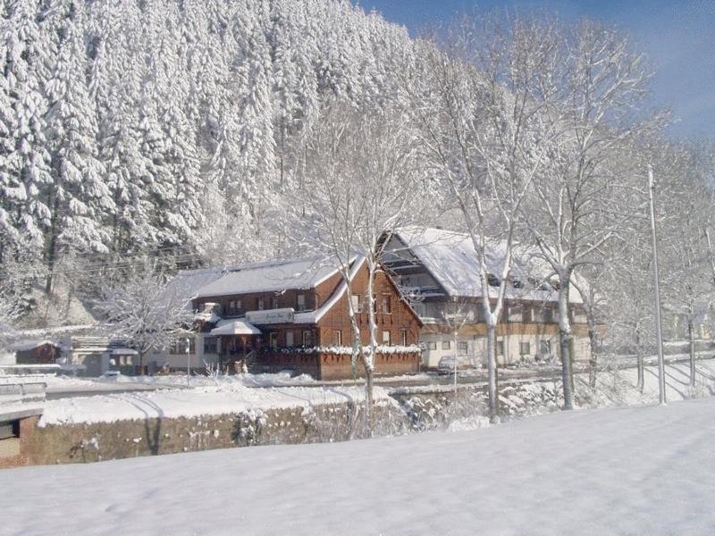 Hotel Gruener Hof à Zell am Harmersbach Extérieur photo