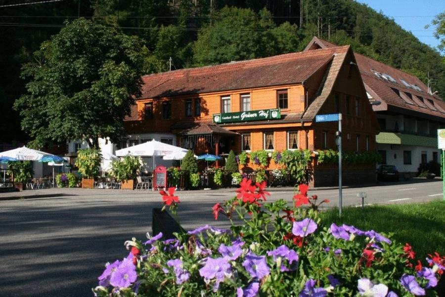 Hotel Gruener Hof à Zell am Harmersbach Extérieur photo